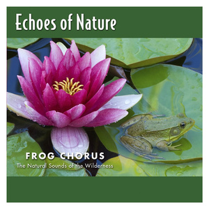 被操的淫语连连
